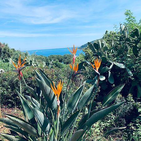 Case Dei Limoni Sul Mare Capoliveri  Dış mekan fotoğraf