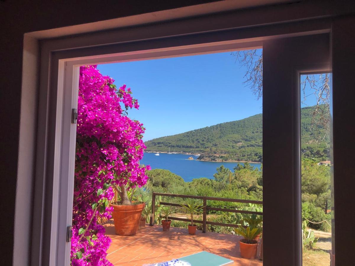 Case Dei Limoni Sul Mare Capoliveri  Dış mekan fotoğraf