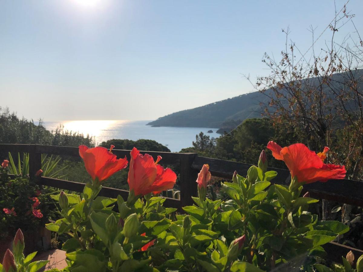 Case Dei Limoni Sul Mare Capoliveri  Dış mekan fotoğraf