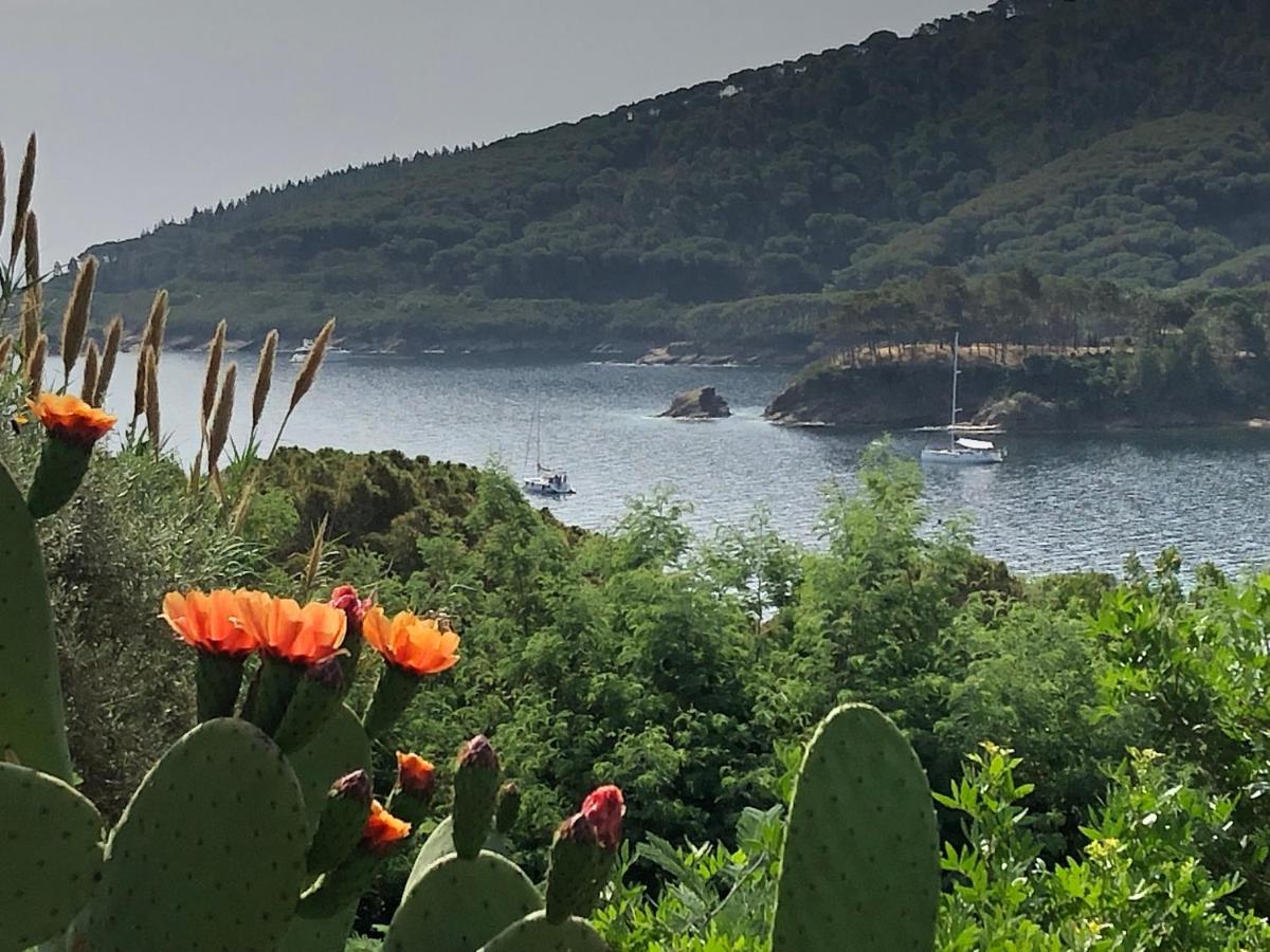 Case Dei Limoni Sul Mare Capoliveri  Dış mekan fotoğraf