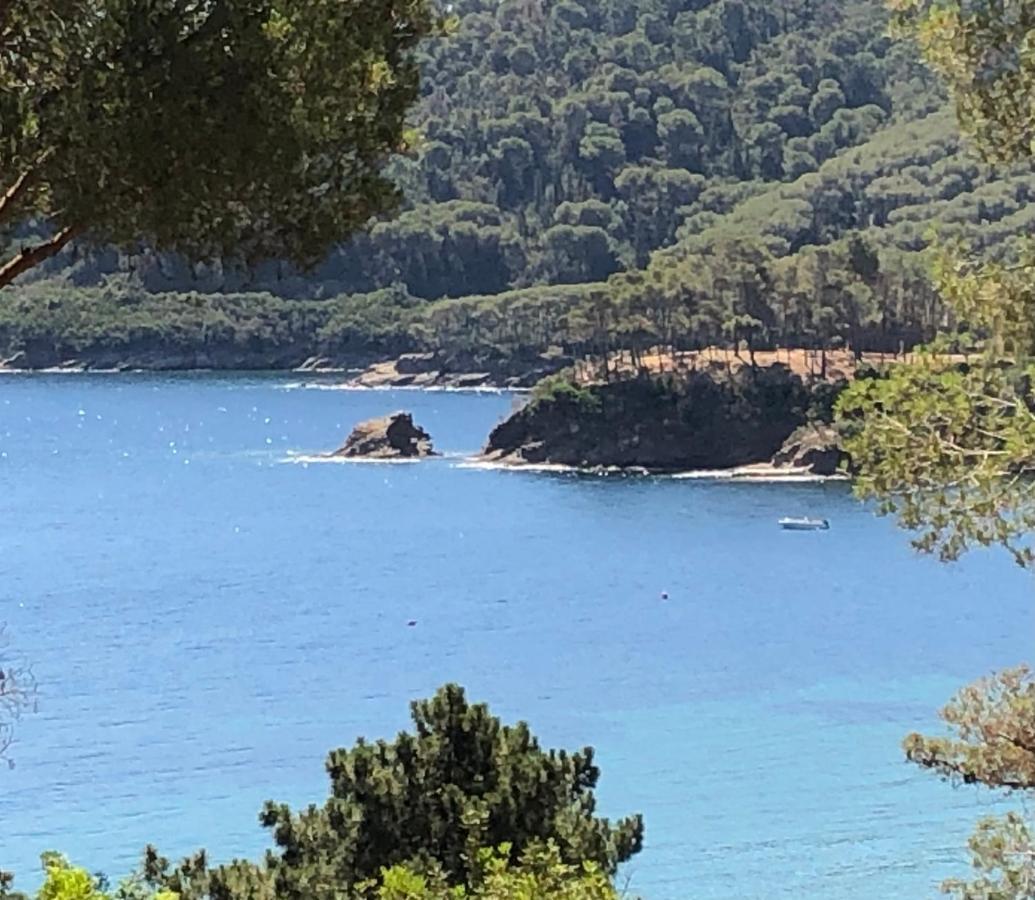 Case Dei Limoni Sul Mare Capoliveri  Dış mekan fotoğraf