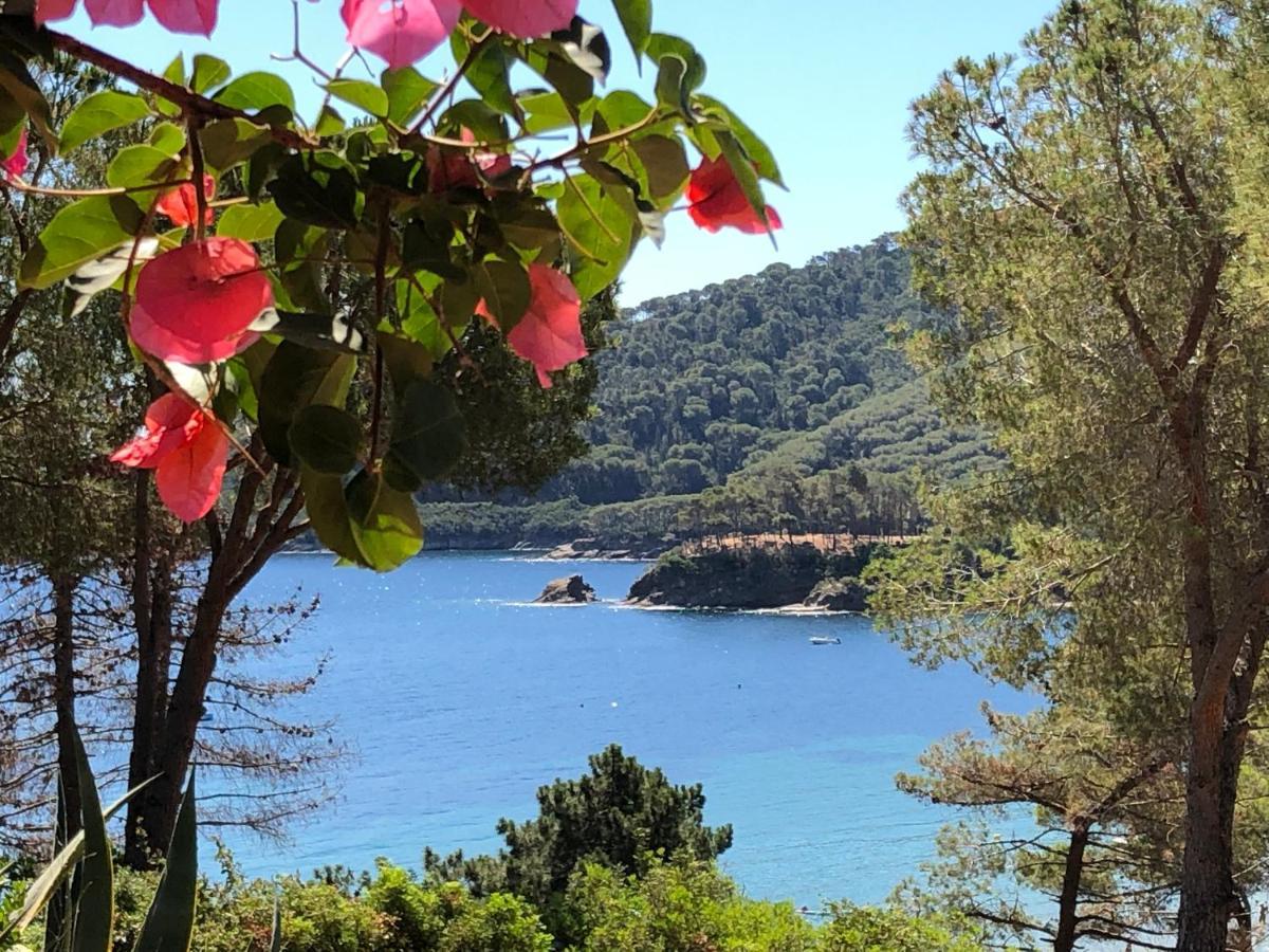 Case Dei Limoni Sul Mare Capoliveri  Dış mekan fotoğraf