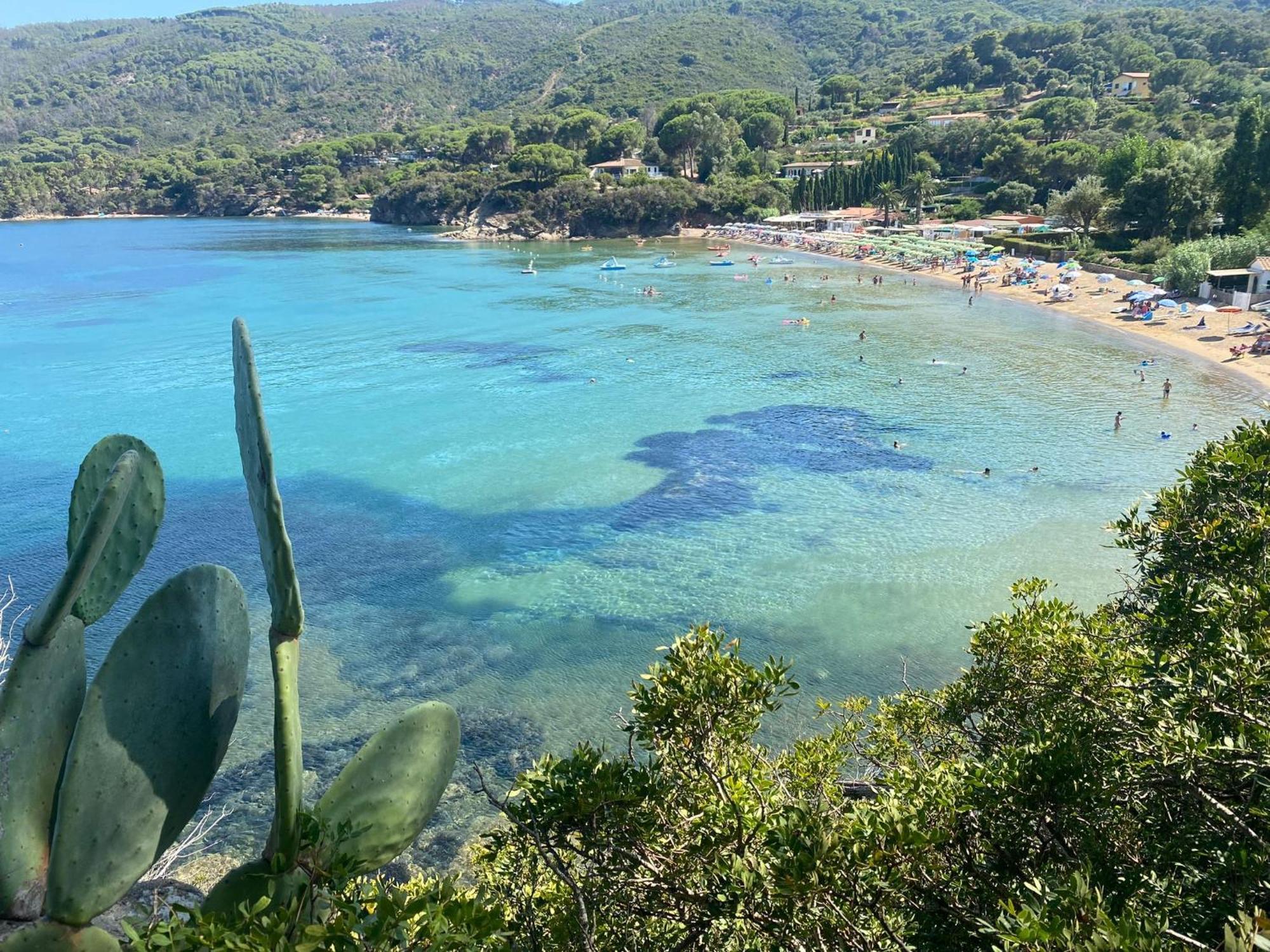 Case Dei Limoni Sul Mare Capoliveri  Dış mekan fotoğraf